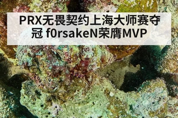 PRX无畏契约上海大师赛夺冠 f0rsakeN荣膺MVP